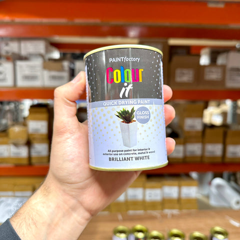 White Gloss Paint 300ml Tin | Interior & Exterior product image