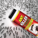 PestShield Ant Killer Powder for Other Crawling Insect Indoor & Outdoor Use 150g