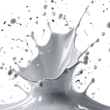 White Gloss Paint Interior Exterior Use 300ml Tin - Quick Dry, All Purpose Use for Concrete, Metal & Wood