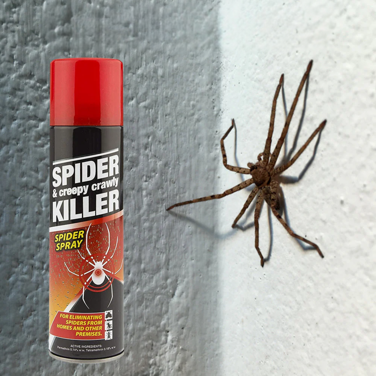 PestShield Spider & Creepy Crawly Killer Spray 200ml product image