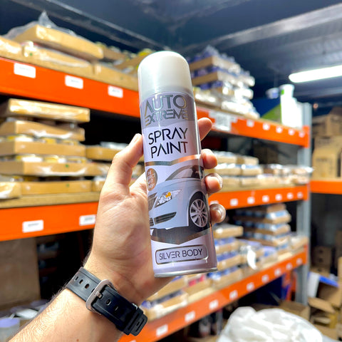 All Purpose Spray Paint Aerosol Auto Car Van Bike Matt Gloss Metal Plastic 250ML Colour: Silver Body Gloss / Pack Size: 1 Pack
