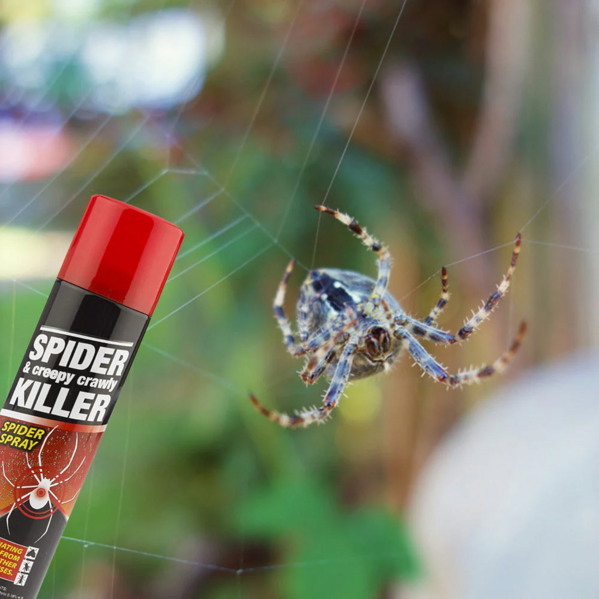 PestShield Spider & Creepy Crawly Killer Spray 200ml product image
