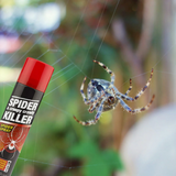 PestShield Spider & Creepy Crawly Killer Spray 200ml product image