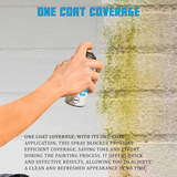 Damp & Stain Block Spray Paint White One Coat Prevent Mould 400ml