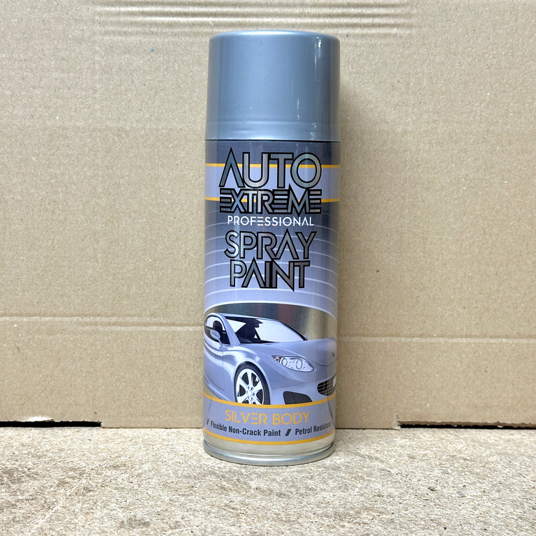 Silver Body Gloss Spray Paint | Multi-Surface Aerosol